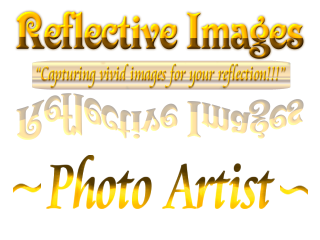 Reflective Images Art